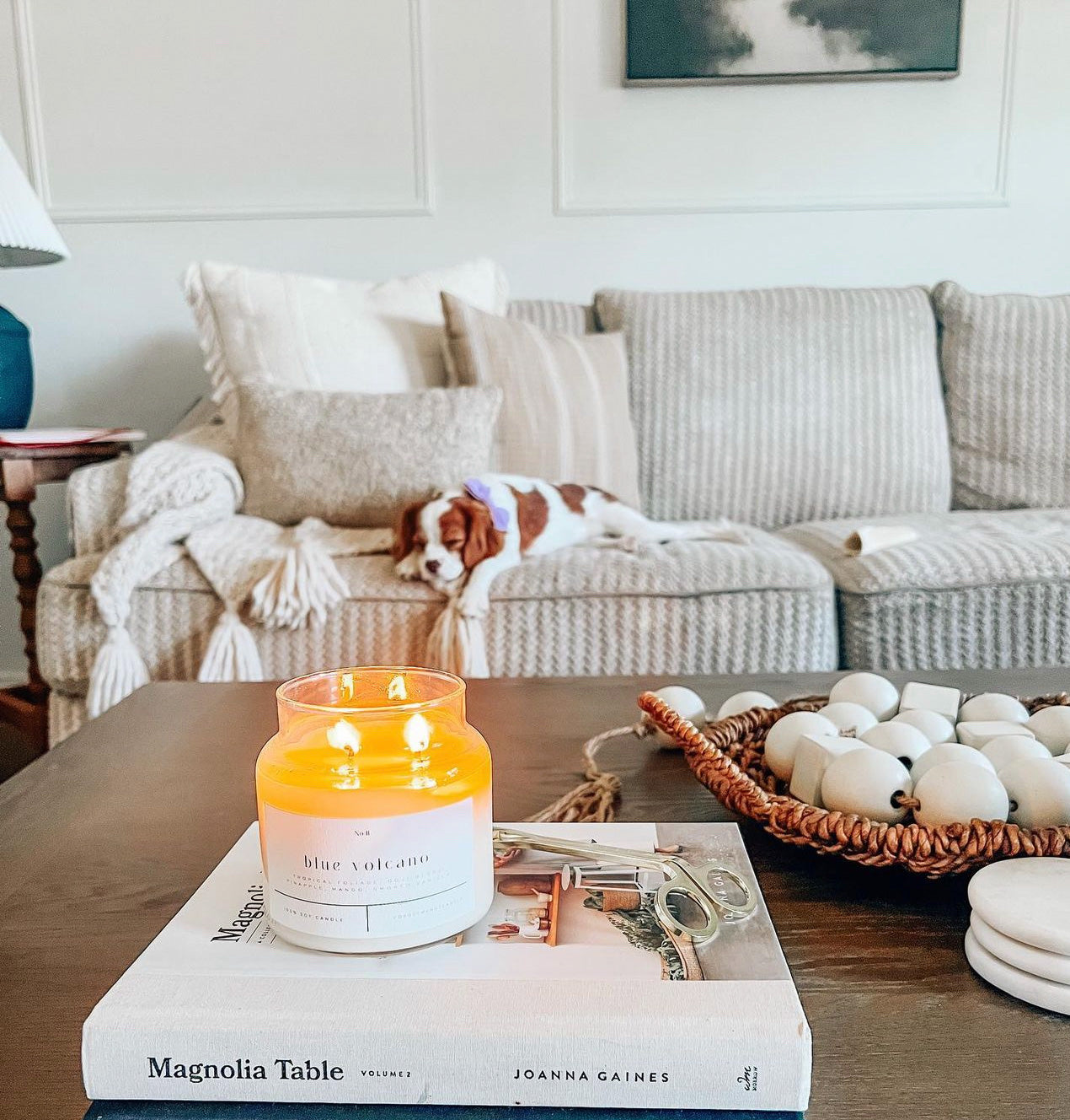 Blue Volcano 100% soy wax candle lit on a coffee table with the Magnolia Table book, styled in a cozy living room with a relaxed dog on the sofa. Hand-poured, eco-friendly candle featuring tropical fragrance notes of goji berry, pineapple, mango, and smoked vanilla, perfect for clean, non-toxic home fragrance.